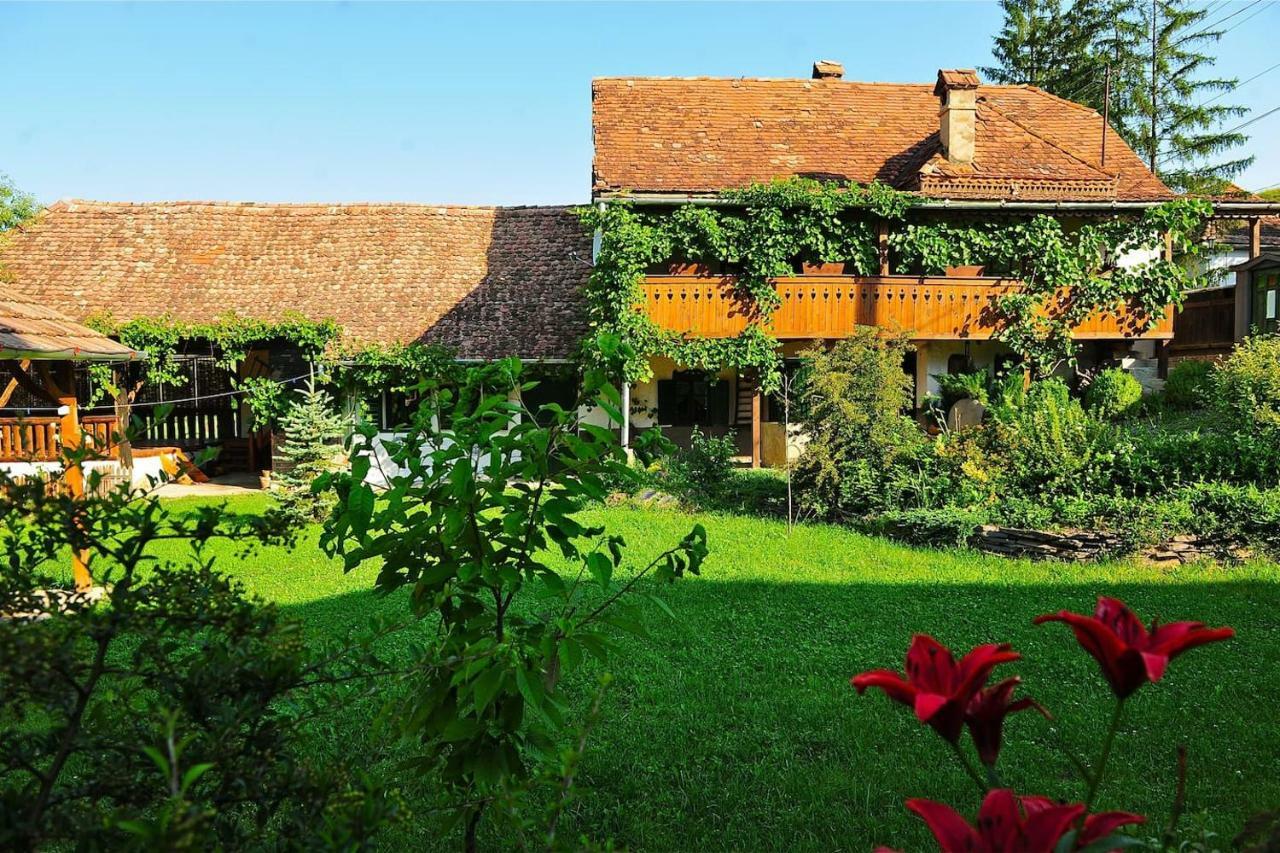 Transylvanian Country House Vetca Buitenkant foto