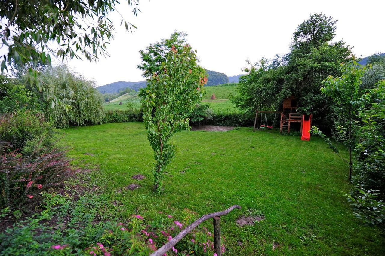 Transylvanian Country House Vetca Buitenkant foto